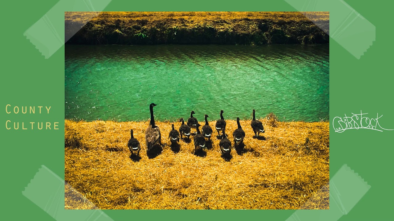 "County Culture" | Kendrick Lamar X Bonobo Type Beat (prod Gibstock)