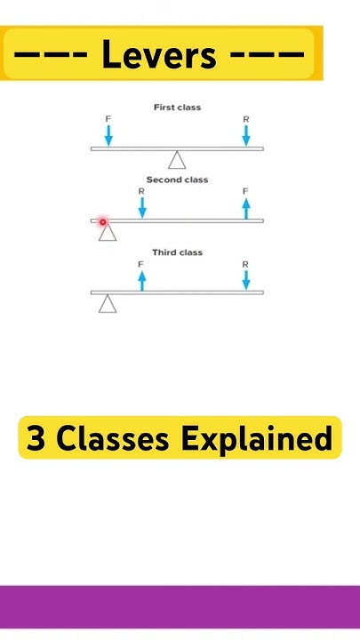 the-3-classes-of-levers-explained-in-60-seconds-which-class-of-lever