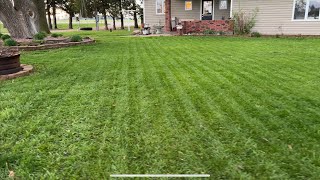 BestMow after 49 days mowing