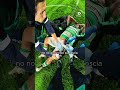 Fisio Pov November Edition 🏥🩹