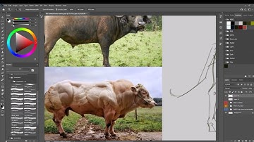 Creature Design DEMO