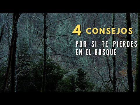 Vídeo: Una Vez Perdido En El Bosque - Vista Alternativa