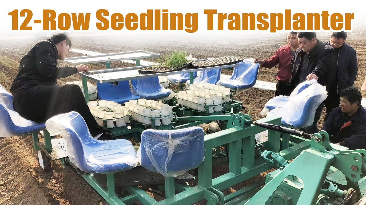 Device For Making Planting Rows 12-Row Vegetable Seedling Transplanter | Fast & Precise Planting ...