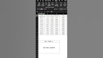 필터설정 단축키!!!! #excel