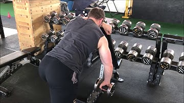 Unilateral Bent Over Row (Dumbbell, Pronated, Elbow High)