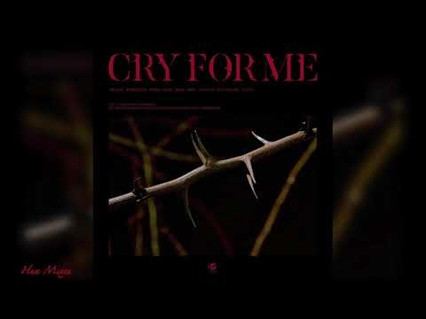 CLEAN ACAPELLA TWICE Cry For Me