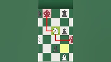 THE KNIGHTS | Chess Memes #shorts #chess #chessmemes