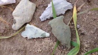 Keep FINDING! ~ 390 Artifact Find! Feb 2016