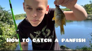 How to catch a panfish #fish #jesus #graygang #fishing 