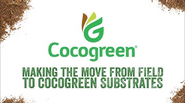 Cocogreen - Field to Substrate Strawberries