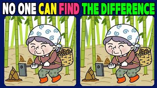 Find the Difference: No One Can Find The Difference 【Spot the Difference】 by Find The Differences 774 views 4 days ago 9 minutes, 21 seconds