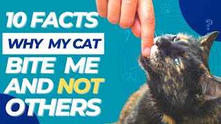 😻 10 Facts About Why Does My Cat Bite Me And Not Others? 💯😸 by FurrPawz 115 views 1 year ago 9 minutes, 51 seconds