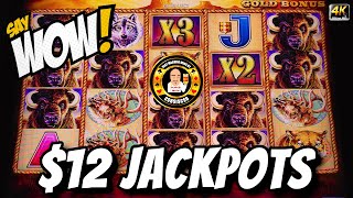 $12 Jackpot's On Buffalo Gold Make You Say WOW 🤯 screenshot 5