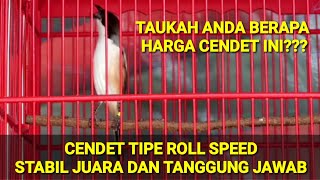 CENDET TIPE ROLL SPEED STABIL JUARA, Main aman tanpa geser