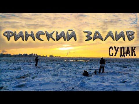 СУДАК НА ФИНСКОМ | ДЕКАБРЬ 2023