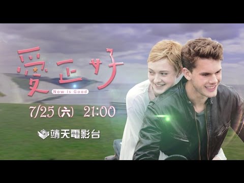 中華電信MOD［靖天電影台］勇敢去愛—愛正好