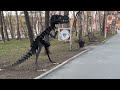Парк Южно-Сахалинска/полное видео