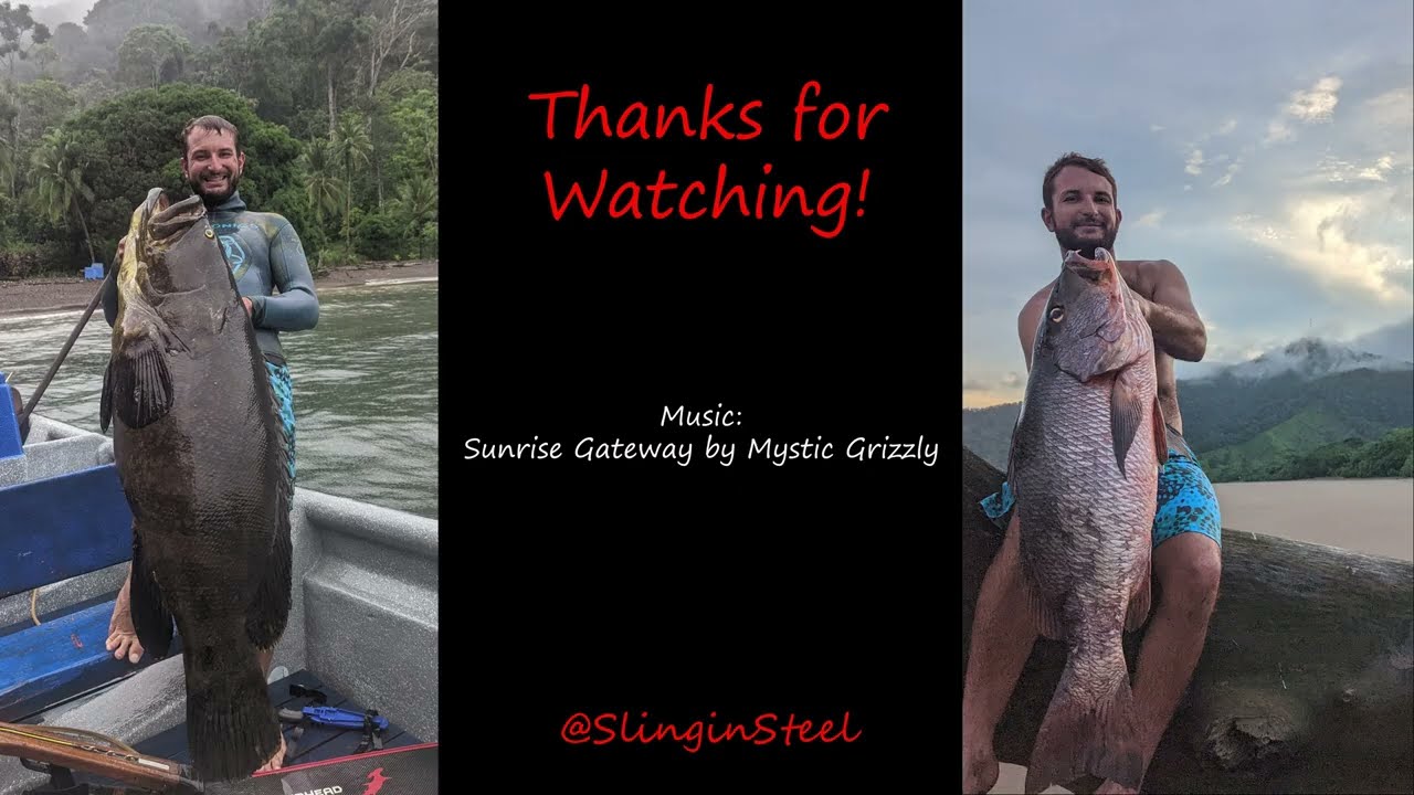 SPEARFISHING COLOMBIA- Grouper, Snapper & more