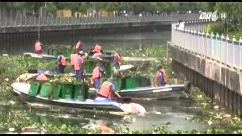 VTC14_TP HCM sẽ dọn sạch lục bình trên kênh, rạch trong năm 2015