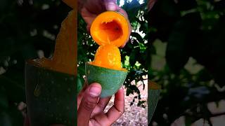 Spicy Raw Mango Masala 🥭😍 Mango Spring