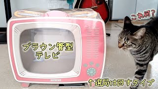 【猫動画】猫爪研ぎ段ボールのテレビ型が可愛い！【猫log】