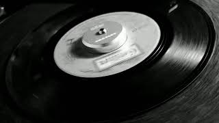 The Dynamics -  What Would I Do