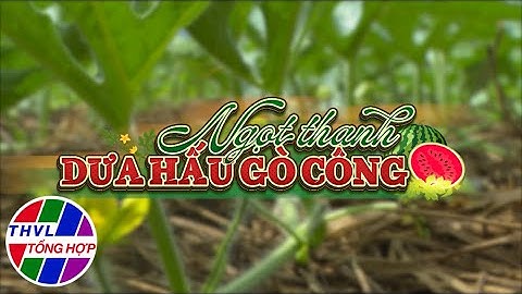 Nhịp sống đồng bằng: Ngọt thanh dưa hấu Gò Công