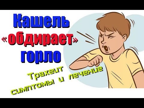 Кашель обдирает горло. Трахеит