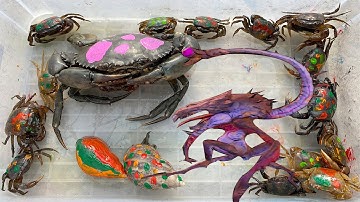 Kem Ốc Chanel cùng máy xúc múc Pacman cứu ốc sên. Con cua, siêu nhân tiêu diệt người ngoài hành tinh