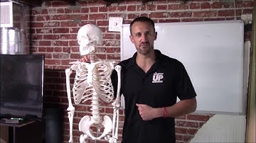 How to become a trainer | Show Up Fitness PT Internship FINAL