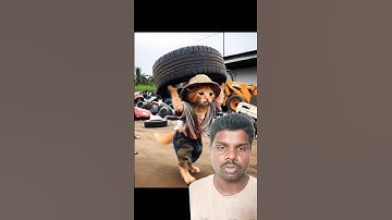 पार्ट 22 😻 Chú mèo con tội nghiệp bị bạn bè chế giễu vì chơi máy bay cũ ở bãi rác #JDVP  #shorts