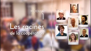 Les racines de la coopération