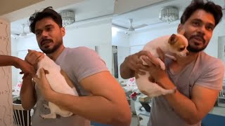 Little Chihuahua scared of groomer🐶। Mission Impossible