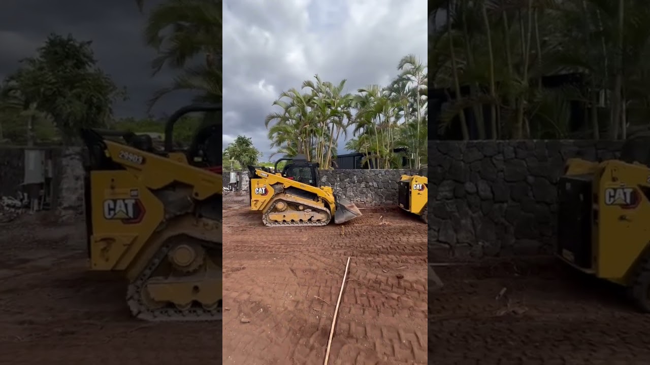 CAT SKID STEER SIZE COMPARISON!!! 299 IS A MONSTER! #excavator #caterpillar #construction