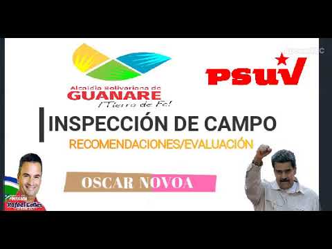 Todos los videos