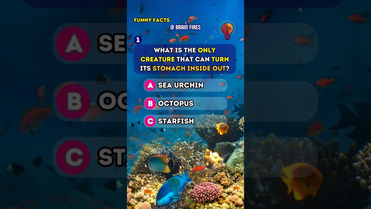 Funny Facts Quiz. Comment your score! General Knowledge Questions and Answers. Daily Trivia 🧠✅