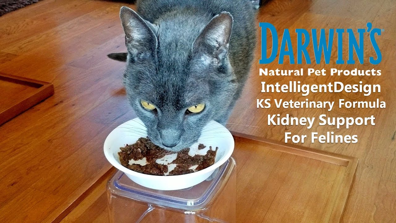 Raw Cat Food Review Darwin's IntelligentDesign KS Veterinary Formula