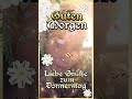 schönen Tag euch allen☀️🌞