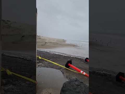 Video: Oceano Dunes – kempování u moře na pláži Pismo