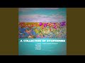 Miniature de la vidéo de la chanson Symphony No. 5 In B-Flat Major, Op. 100: Ii. Allegro Marcato