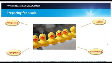 Privacy Issues in an M&A Context