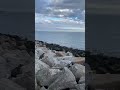 Guys We Went To Bray It Was Soooo Fun рџ Guys We Went To Bray It Was Soooo Fun рџ