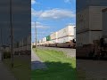 WOW! Double Heritage Units AND a Perfectly-Timed Meet! Wauseon, OH - Conrail and Monongahela thumbnail