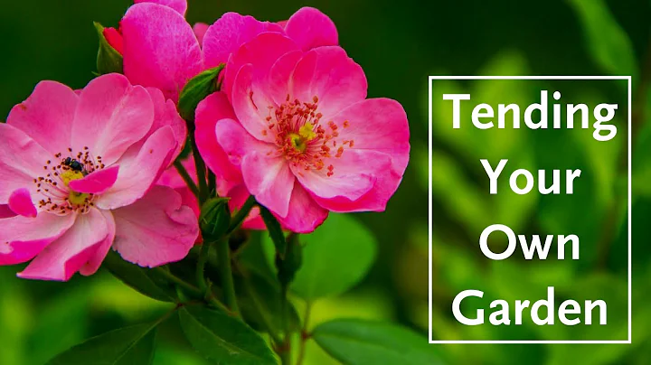 Tending Your Own Garden: A Spirituality for Active...