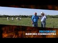 CHAROLAIS Rancho CIENEGUITAS