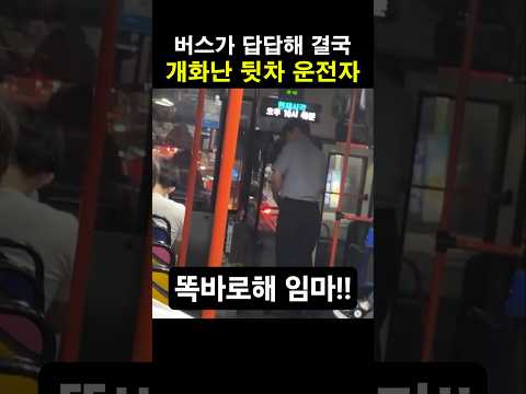 버스가 답답해 결국 개화난 뒷차 운전자 thumbnail