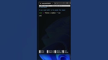 Bash shell scripting USER INPUT and ECHO for beginner to advanced #bash #bashscripting #tutorial