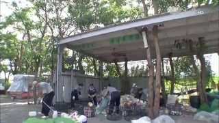 【草根菩提】20150818 - 推動地球25 - 一巷弄 最美風景