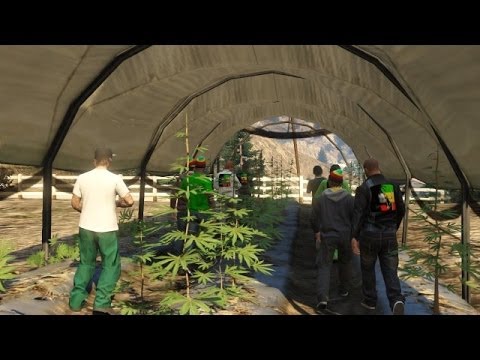 GTA ONLINE Weed farm shoot out TDM ( Ganja Outlaws )