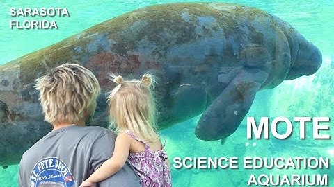 NEW Mote Science Education Aquarium Sarasota – Stunning 4K Cinematic Tour (Captions + Great Music)